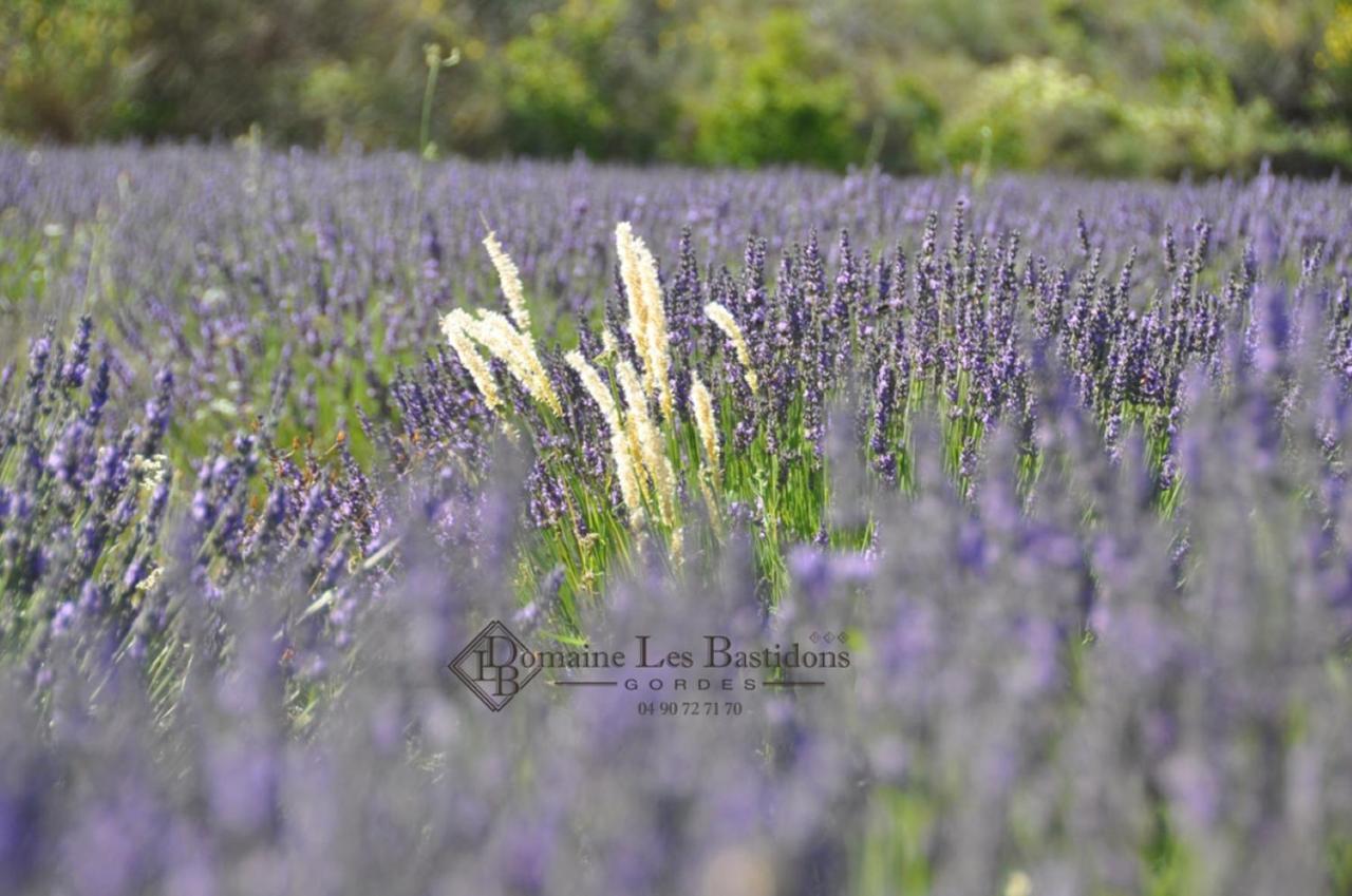 Domaine Les Bastidons Villa Gordes Exterior foto